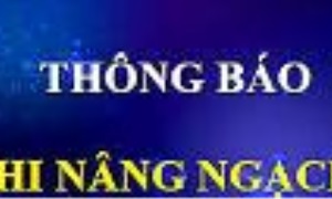 Kế hoạch tổ chức thi nâng ngạch công chức và xét thăng hạng viên chức  trong cơ quan, đơn vị của Đảng, Mặt trận Tổ quốc  và các tổ chức chính trị - xã hội năm 2018